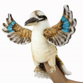 Hansa Kookaburra